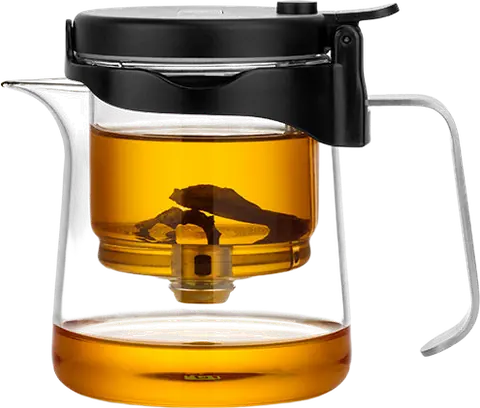Easy Gongfu Bonston Glass Tea Pot 350ml with Glass Infuser # 33212