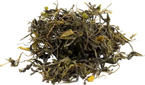 Georgian green tea from Guria (summer 2024)