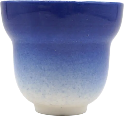 Gourd Master Cup - Blue # 95987