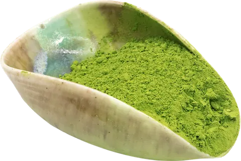 Superior Japanese matcha