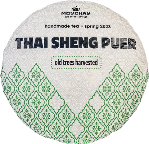 Wild-tree raw pu-erh from Thailand (spring 2023)